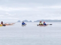 Kayakers in Theipval Channel encounter a sounding Humpback Whale